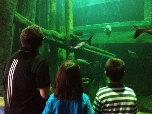Acuario de Zaragoza