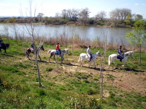 Fotografía de: Hípica Parque del Agua