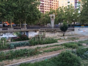 Huertos del Parque de la Memoria
