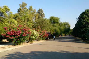 parque grande