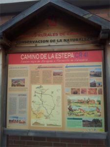 camino de la estepa