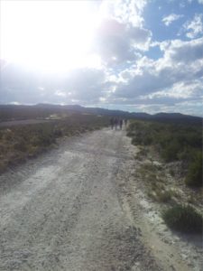 estepa zaragozana