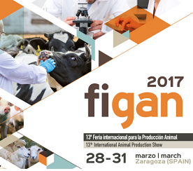 Figan Zaragoza 2017