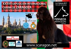 Expo Canina Zaragoza