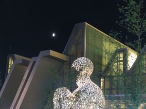 El Alma del Ebro, de noche.