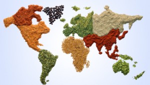 image from shutterstock.com