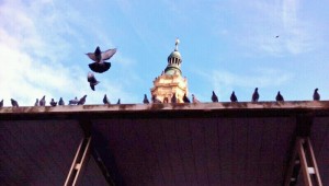 Zaragoza