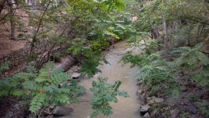 Río Huerva, Zaragoza