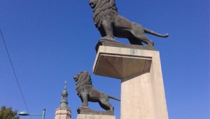 Leones Francisco Rallo, Zaragoza