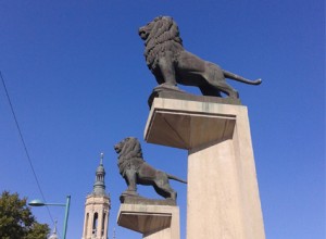 Leones Francisco Rallo, Zaragoza